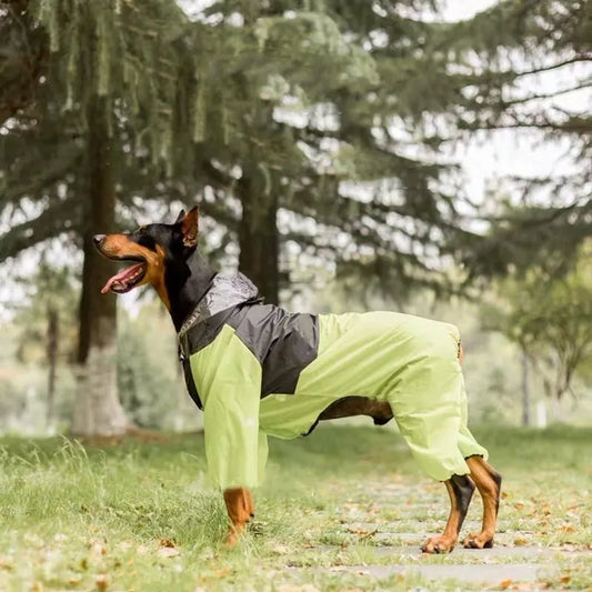 Dog Raincoat Parent-child Outfit